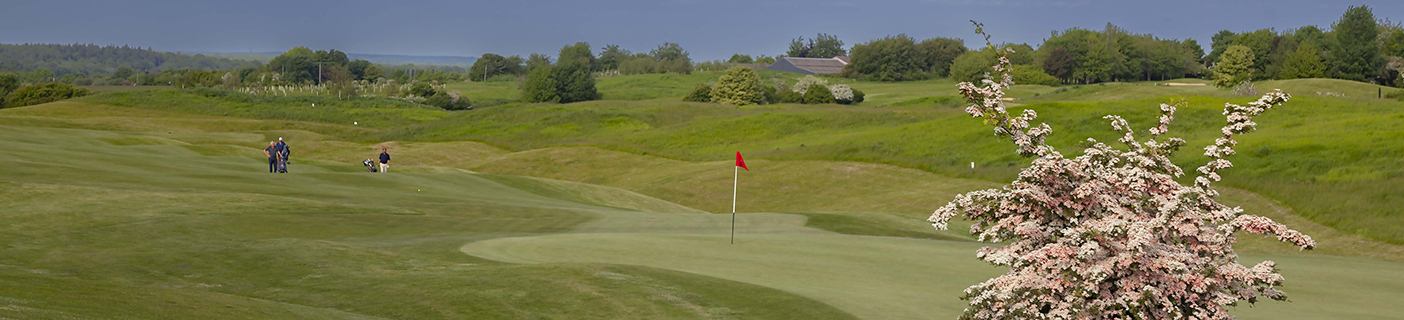 Weybrook Park - approaching 17th green